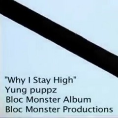 Yung Puppz-Why Do I Stay High.mp3