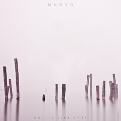 Got It Like That [snippet]