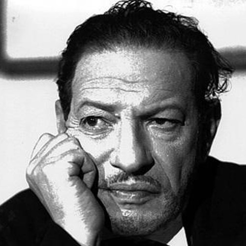 مشاهد