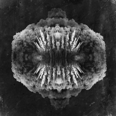 Owl Vision - Doomster