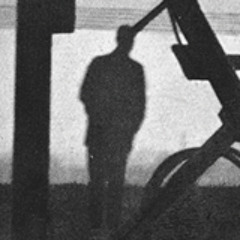 Frozen Ducks - Lost Freedom