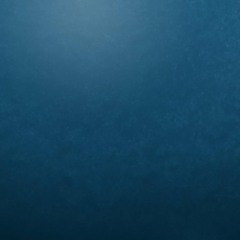 SICK CHINA/NIS BROWN-BLUE