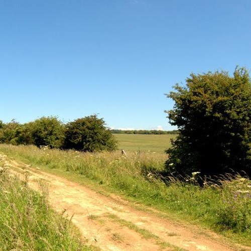 Ridgeway Downs - Summer Solstice - Jay Terrestrial