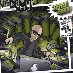 Pascal FEOS - Terra Bong! (Continuous DJ Mix) (2010)