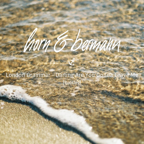 Darling Are You Gonna Leave Me (horn & bermann Bootleg)