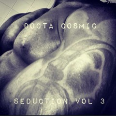Seduction Vol 3 Slow Jams Mix CD