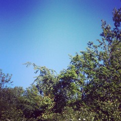 Pursuit of Happiness - Acoustic Cover