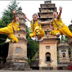 FIVE ELEMENTS VIP (FREE DOWNLOAD)