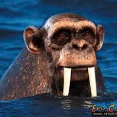 DJ Filth - The King Says Destroy Them.MP3