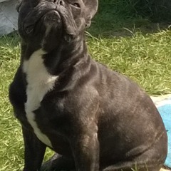 :P