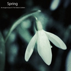 Spring (An Imaginal Space Ft The Hadron Colliders)