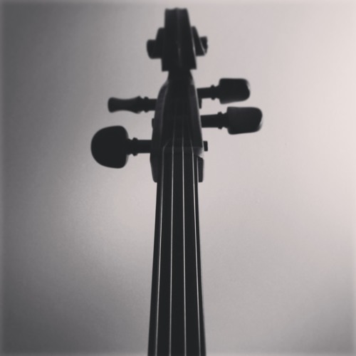 Song Without Words - Trio for Piano and Two Cellos