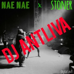 Drop That Nae Nae Stoner Mix Digital AV8