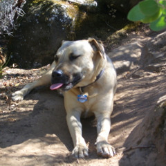 20freshie11-house mix