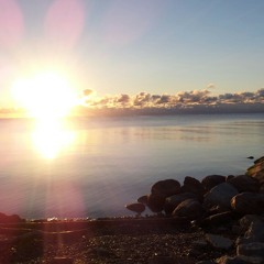 Well Cover (cover) - Paasion