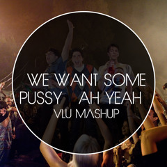 We Want Some Pussy (Ah Yeah Edit) (Vlu Edit)