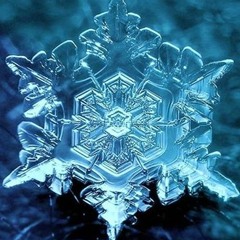 Family Healing and Reconnection Light Language