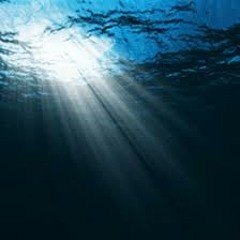 Sunlight On Dark Water