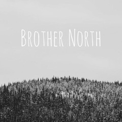 Brother North - Krummi