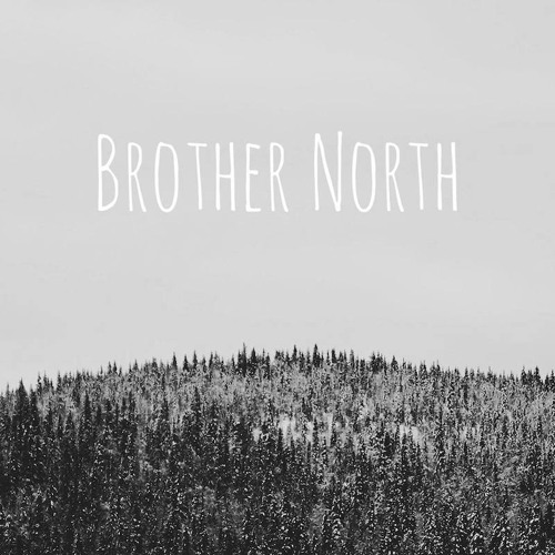 Brother North - Krummi
