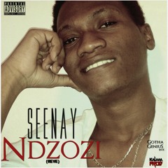 01-Seenay - Ndzozi