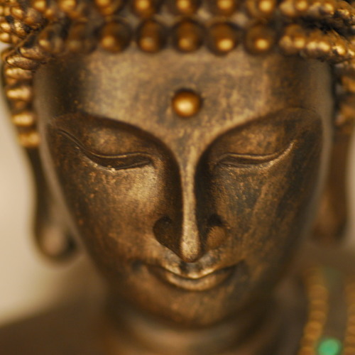 Guided Meditations