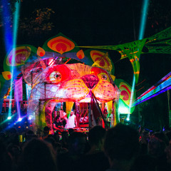 Jungle Experience