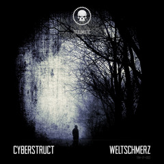 TRM-EP-002 Cyberstruct & Embrionyc - There's A Light On The Horizon