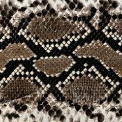 [Royalty Free Music] The Snake (Preview) @ Audiojungle