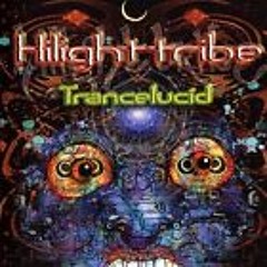 Hilight Tribe-Didgedelik (feat. Whicked Hayo)