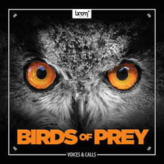 BIRDS OF PREY | Demo