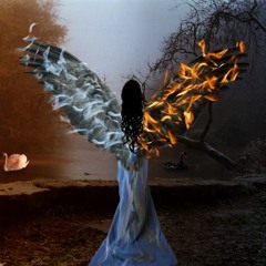 Uplifting Trance Pls