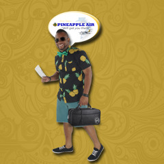 Pineapple Air Jingle