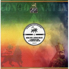Rebel MC & Serial Killaz - Promised Land (Congo Natty 18)