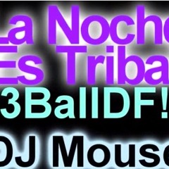 Dj Mouse La Noche Es Tribal (Private Mix)