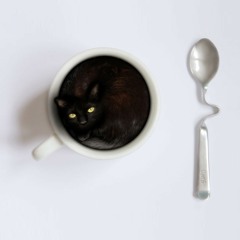 Head[Space] - Anatomically Incorrect