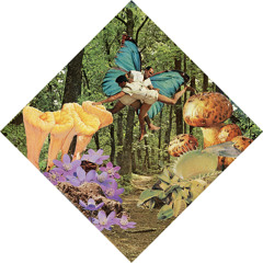 too real./ ellis (feat. iamprof)