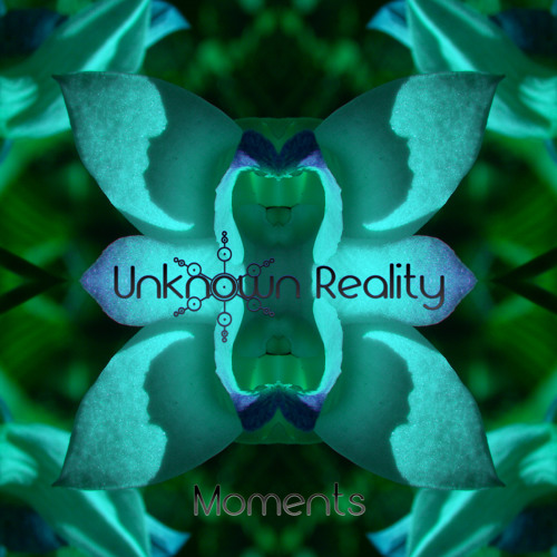 Unknown Reality - Crystals