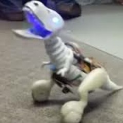 pogo/style