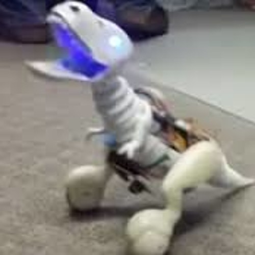 pogo/style