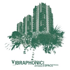Vibraphonic - Catch The Mouse