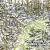 Artwork for Chad VanGaalen : Peace on the Rise