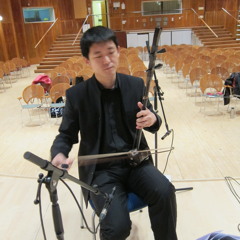 chinese er wu