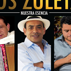 Asi Fue Mi Querer - Los Zuleta - Desconectado