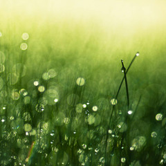 My Morning Glue - Snipit