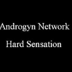 Androgyn Network - Hard Sensation (Radium Remix)