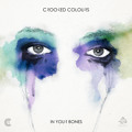 Crooked&#x20;Colours In&#x20;Your&#x20;Bones Artwork
