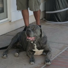 The Good Co. - Never Lose