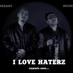 BUJUN & DESANT - I LOVE HATERZ (Official Audio)