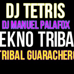 Dj Tetris & Dj Manuel Palafox Tekno Tribal (Costeñito Style)